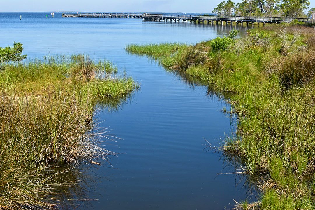 Marina marsh