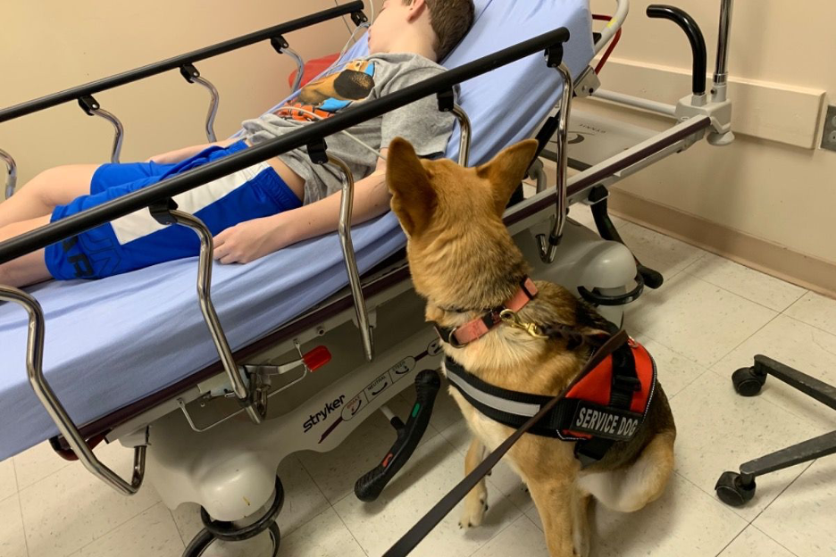 Remi laying in a hospital bed with his dog, Willow, by his side