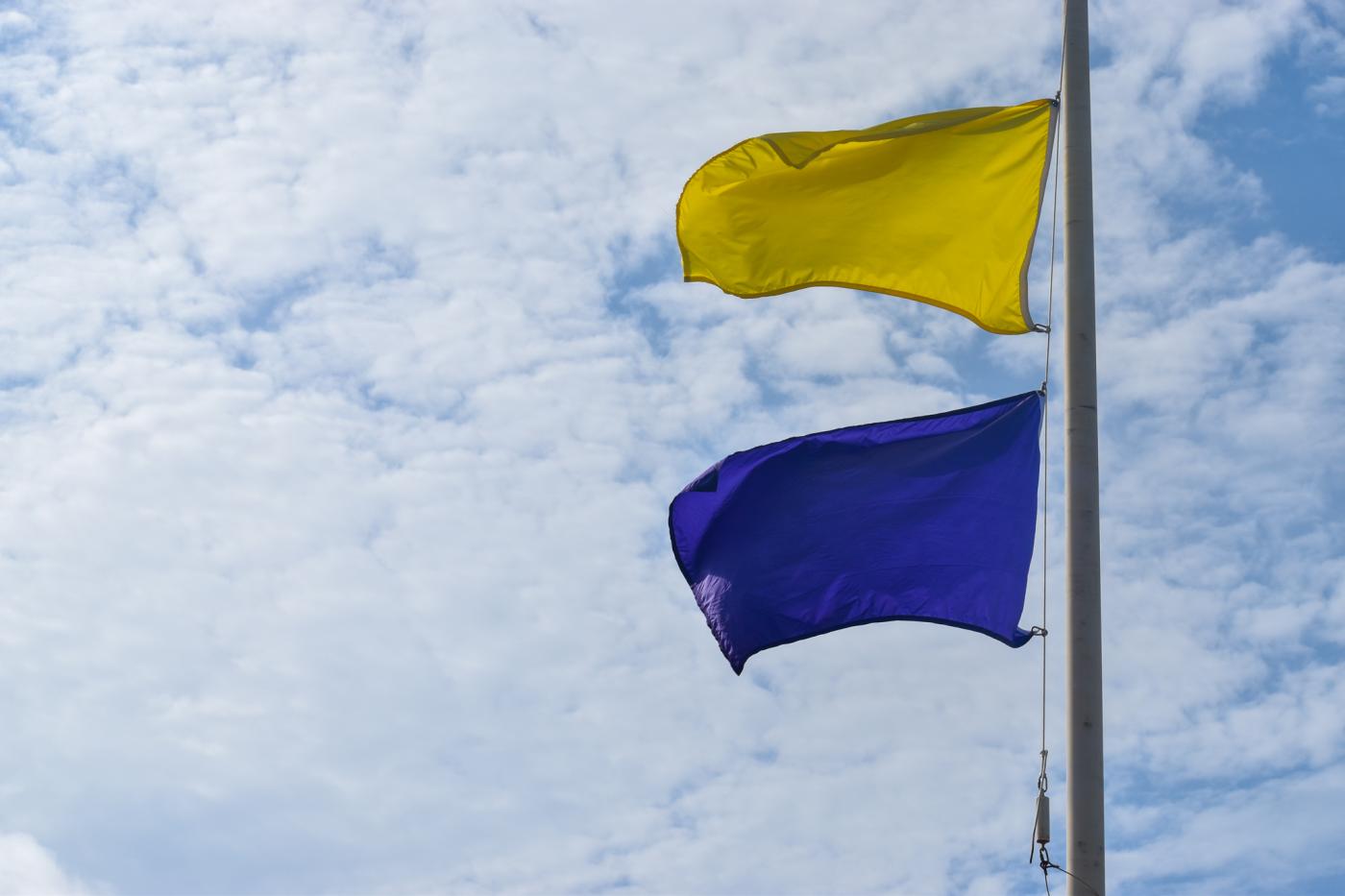 Beach Flags