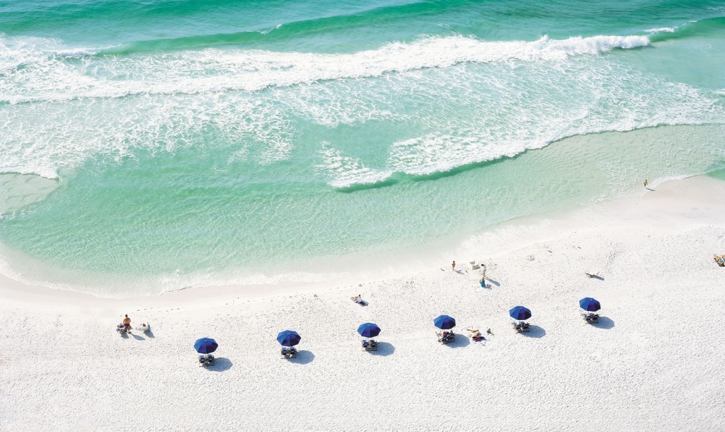 Beach chair umbrellas lined up in a row on the beach