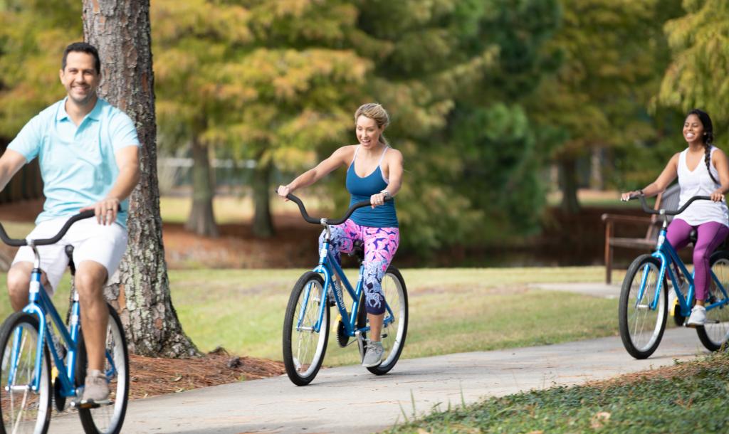 Bike Rentals